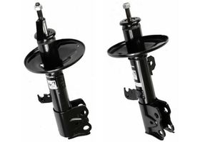 Par De Amortiguadores Gas OESpectrum Delanteros