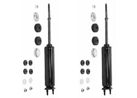 Par De Amortiguadores Gas OESpectrum Delanteros