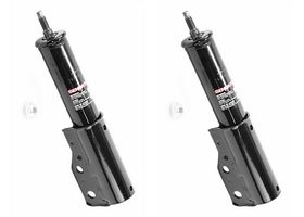 Par De Amortiguadores Gas OESpectrum Delanteros