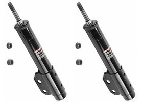 Par De Amortiguadores Gas OESpectrum Delanteros