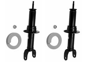 Par De Amortiguadores Gas OESpectrum Delanteros