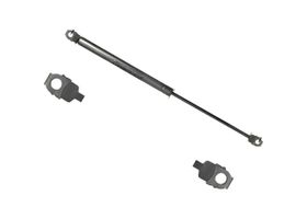 Amortiguador Cofre Lado Conductor O Pasajero