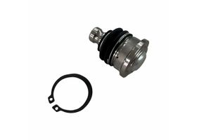 Rotula Para Horquilla Delantera Inferior Lado Conductor O Pasajero