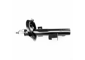 Amortiguador Gas Delantero Lado Conductor