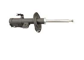 Amortiguador Gas Delantero Lado Conductor