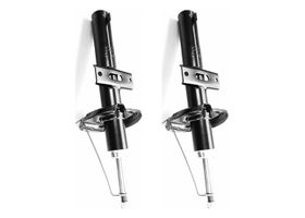 Par De Amortiguadores Gas Delanteros