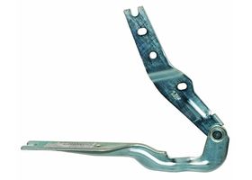 Bisagra Para Cofre Lado Pasajero