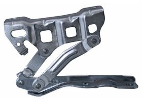 Bisagra Para Cofre Lado Conductor