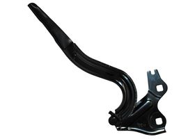 Bisagra Para Cofre Lado Pasajero