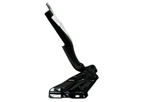 Bisagra Para Cofre Lado Conductor