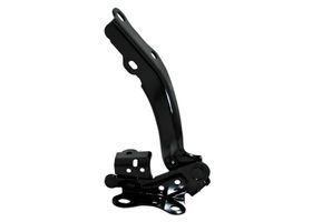 Bisagra Para Cofre Lado Conductor