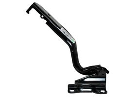 Bisagra Para Cofre Lado Conductor