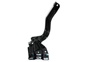 Bisagra Para Cofre Lado Pasajero