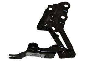 Bisagra Para Cofre Lado Pasajero