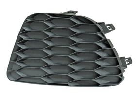 Parrilla De Defensa Lado Pasajero