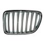 generica-parrilla-cromado-plata-lado-conductor-bmw-x1-2013-2015-x1-0