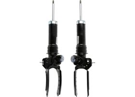 Par De Amortiguadores Gas Delanteros AWD