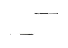 Par De Amortiguadores Cajuela