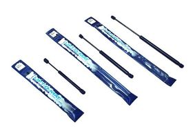 Amortiguador Cofre Lado Conductor O Pasajero