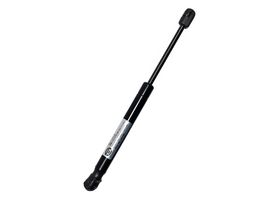 Amortiguador Cofre Lado Conductor