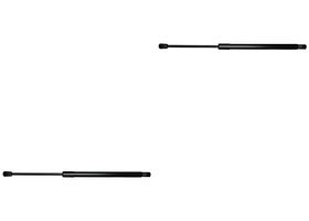 Par De Amortiguadores De Cofre