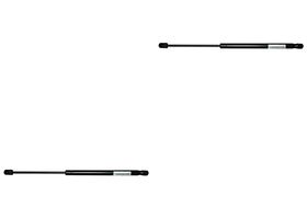 Par De Amortiguadores Cofre