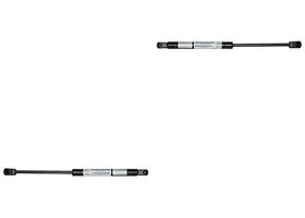 Par De Amortiguadores Cofre