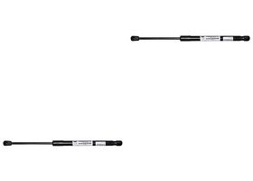 Par De Amortiguadores Cofre