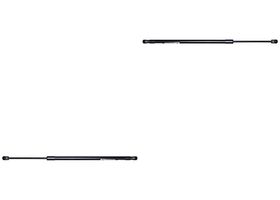 Par De Amortiguadores Cofre