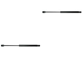 Par De Amortiguadores De Cofre