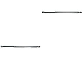 Par De Amortiguadores Cofre