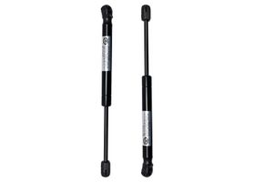 Par De Amortiguadores De Cofre