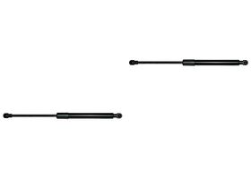 Par De Amortiguadores Cofre