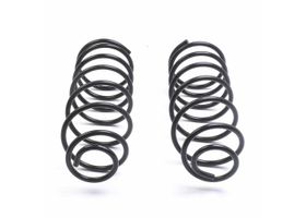 Juego De Resortes De Suspensión Delanteros