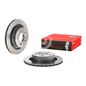 brembo-disco-ventilado-trasero-lado-conductor-bmw-serie-m-1995-1999-m3-0