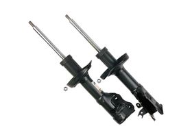 Amortiguador Gas Bogas Delantero Lado Pasajero