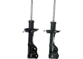 Par De Amortiguadores Gas Bogas Delanteros