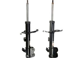 Par De Amortiguadores Gas Bogas RWD Delanteros