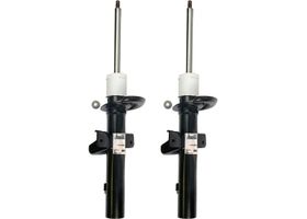 Par De Amortiguadores Gas Bogas FWD Traseros