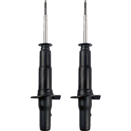 boge-par-de-amortiguadores-gas-extreme-4wd-awd-rwd-delanteros-chevrolet-trailblazer-2002-2008-trailblazer-l6-4-2l-v8-5-3l-v8-6-0l-0