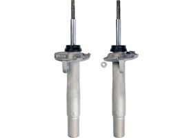 Par De Amortiguadores Gas RWD Delanteros