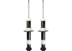 Par De Amortiguadores Gas AWD Traseros