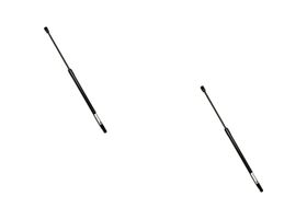 Par De Amortiguadores Cofre