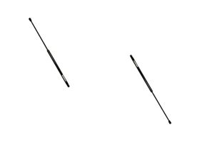 Par De Amortiguadores De Cofre