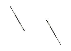 Par De Amortiguadores Cofre