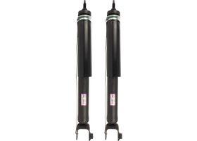 Par De Amortiguadores De Suspensión Traseros - OEM
