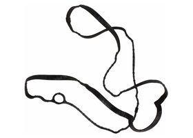 Junta De Tapa De Punterías Lado Conductor - OEM