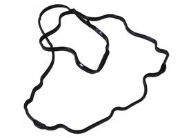 Junta De Tapa De Punterías Lado Conductor - OEM