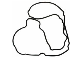 Junta De Tapa De Punterías Lado Conductor - OEM