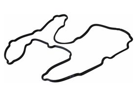 Junta De Tapa De Punterías Lado Conductor - OEM